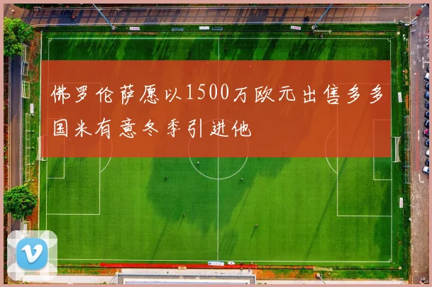 佛罗伦萨愿以1500万欧元出售多多国米有意冬季引进他