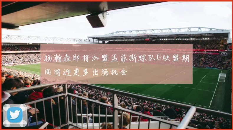 杨瀚森即将加盟孟菲斯球队G联盟期间将迎更多出场机会