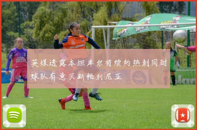 英媒透露本坦库尔将续约热刺同时球队有意买断帕利尼亚