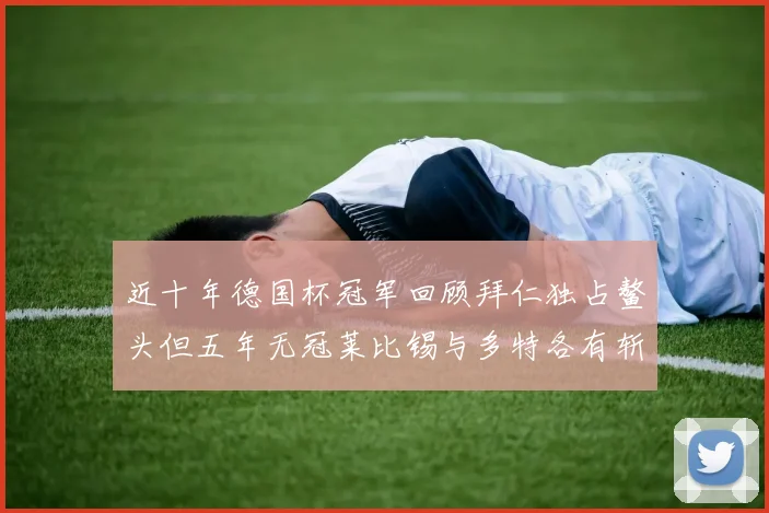 近十年德国杯冠军回顾拜仁独占鳌头但五年无冠莱比锡与多特各有斩获