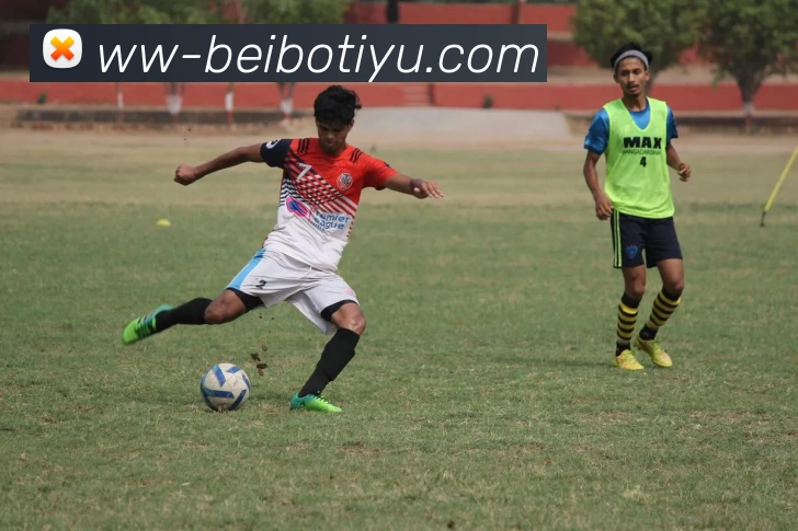 贝博体育服务体系